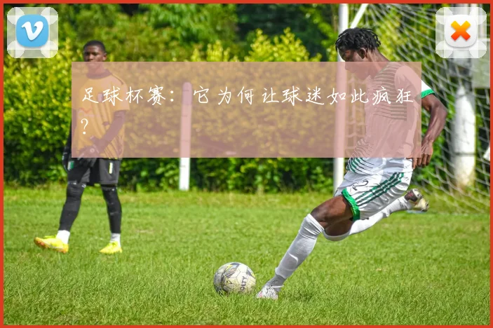 足球杯赛:它为何让球迷如此疯狂?
