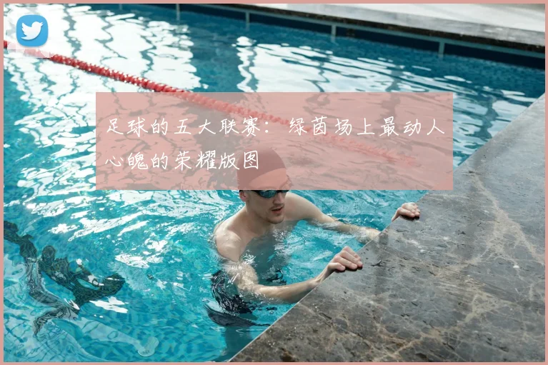 足球的五大联赛:绿茵场上最动人心魄的荣耀版图
