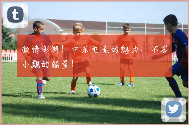 激情澎湃!中东电竞的魅力,不容小觑的能量!