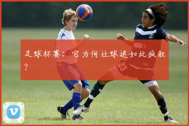足球杯赛：它为何让球迷如此疯狂？