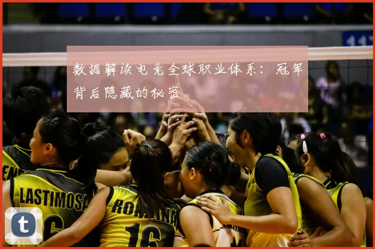 数据解读电竞全球职业体系:冠军背后隐藏的秘密
