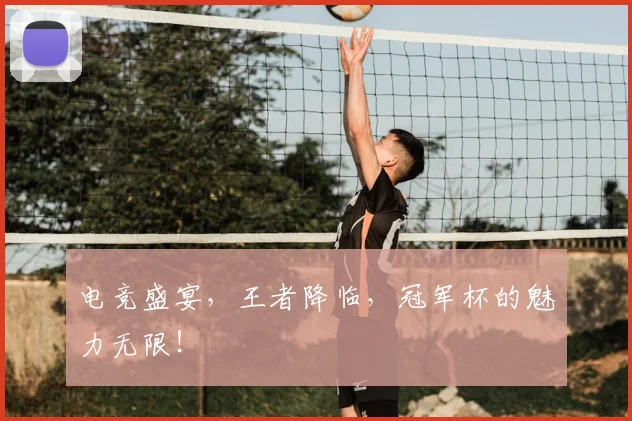 电竞盛宴,王者降临,冠军杯的魅力无限!